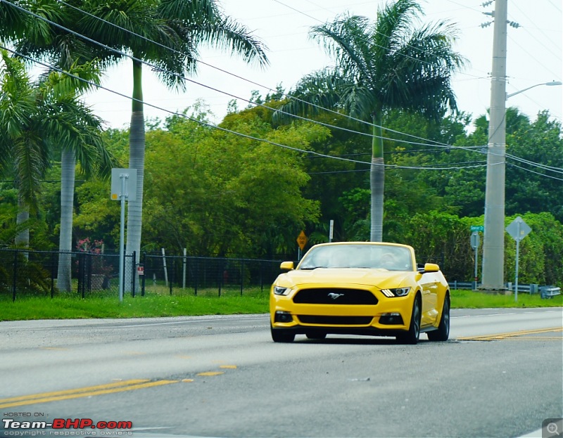 New York to Key West - A 5,000 km Road Trip-mustang.jpg