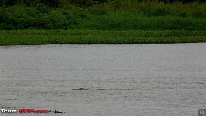 Weekend River Raid !!-p1090877.jpg