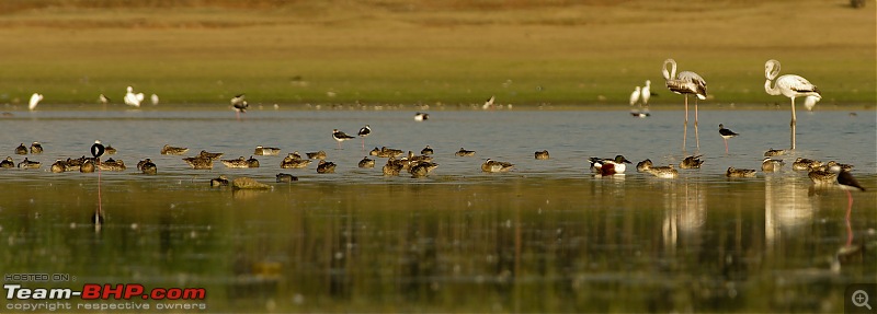 Birding around Mysore - A Photologue-habitat-2.jpg