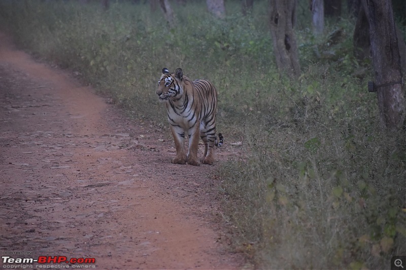 Mumbai to Tadoba: Solo trip in my Isuzu D-Max V-Cross-p-3-7.jpg