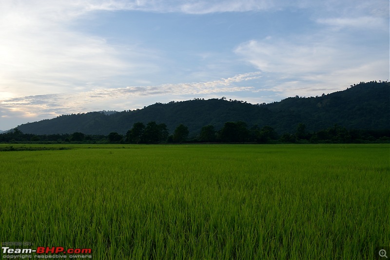 Roadtrip to Walong, Arunachal Pradesh-dsc_0071.jpg