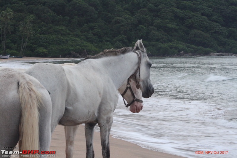 Dizzy Drive: Go..Go..Goa, a Mini Exploration-7.jpg