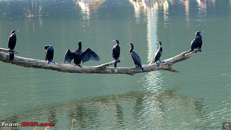 A drive to Asurankundu Dam, Athirappilly-Vazhachal Falls and Peringalkuthu Dam-image0002f.jpg