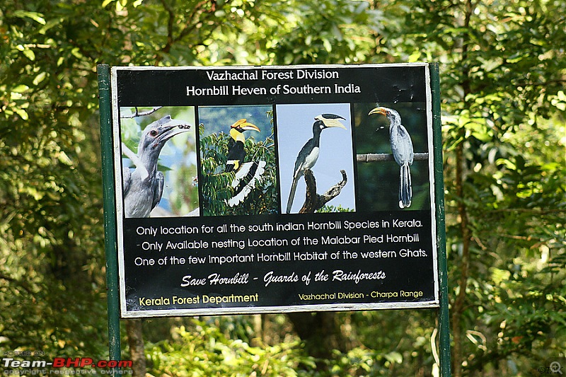 A drive to Asurankundu Dam, Athirappilly-Vazhachal Falls and Peringalkuthu Dam-image008c.jpg