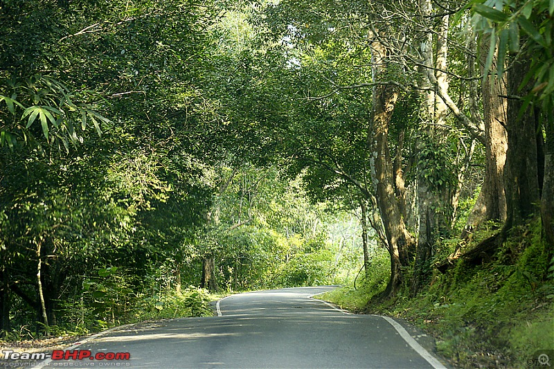 A drive to Asurankundu Dam, Athirappilly-Vazhachal Falls and Peringalkuthu Dam-image0015b.jpg