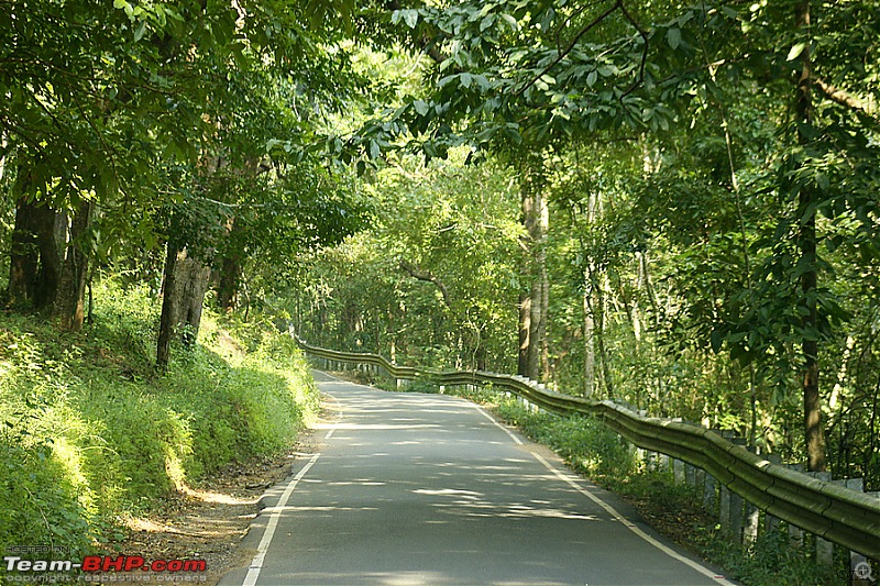A drive to Asurankundu Dam, Athirappilly-Vazhachal Falls and Peringalkuthu Dam-image0018a.jpg