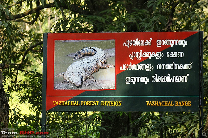 A drive to Asurankundu Dam, Athirappilly-Vazhachal Falls and Peringalkuthu Dam-image0019a.jpg