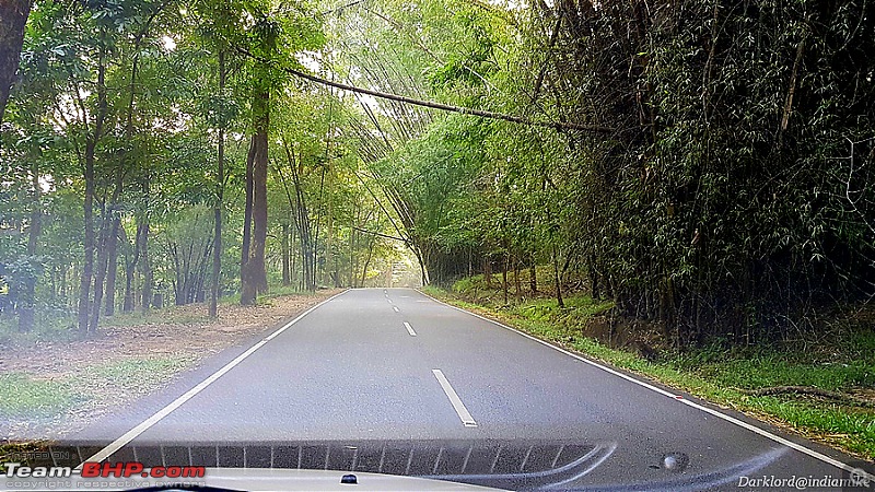 A drive to Asurankundu Dam, Athirappilly-Vazhachal Falls and Peringalkuthu Dam-image0030c.jpg