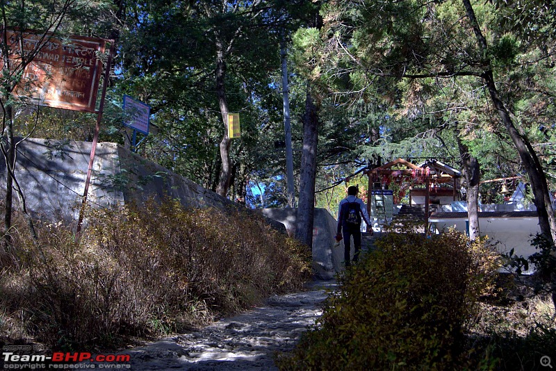 The Red One (TRO) Travels: Mukteshwar & Uttarakhand | Our Brass Journey-around_mukteswar-13k500.jpg