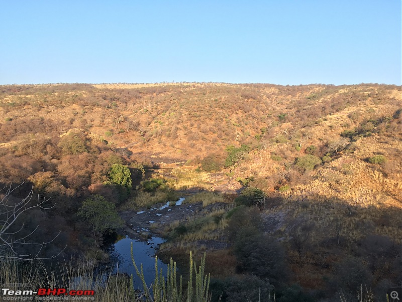 Ranthambore - Land of Forts, Hills & Tigers-13-zone-4-landscape.jpg