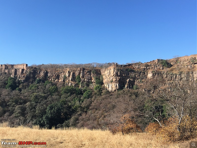 Ranthambore - Land of Forts, Hills & Tigers-14-zone-2-landscape.jpg