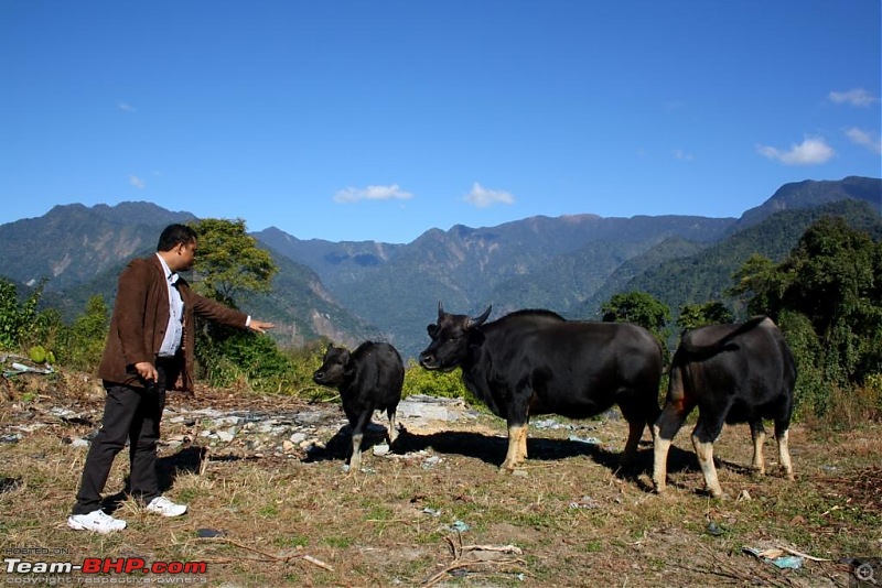 Maiden trip to Arunachal Pradesh-way-2.jpg