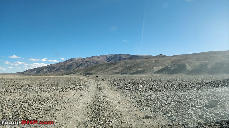 Leh'd finally - A photologue of my Leh & Ladakh trip-302.jpg