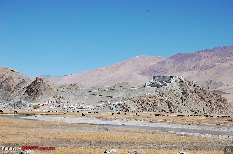 Leh'd finally - A photologue of my Leh & Ladakh trip-dsc_5242.jpg