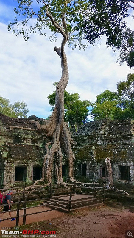 A solo backpacker's guide to Cambodia-ta_prohm_5.jpg