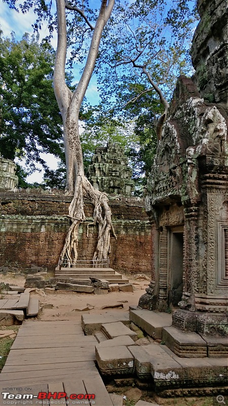 A solo backpacker's guide to Cambodia-ta_prohm_6.jpg