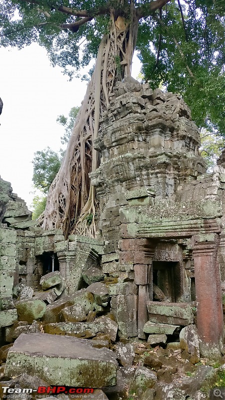 A solo backpacker's guide to Cambodia-ta_prohm_7.jpg