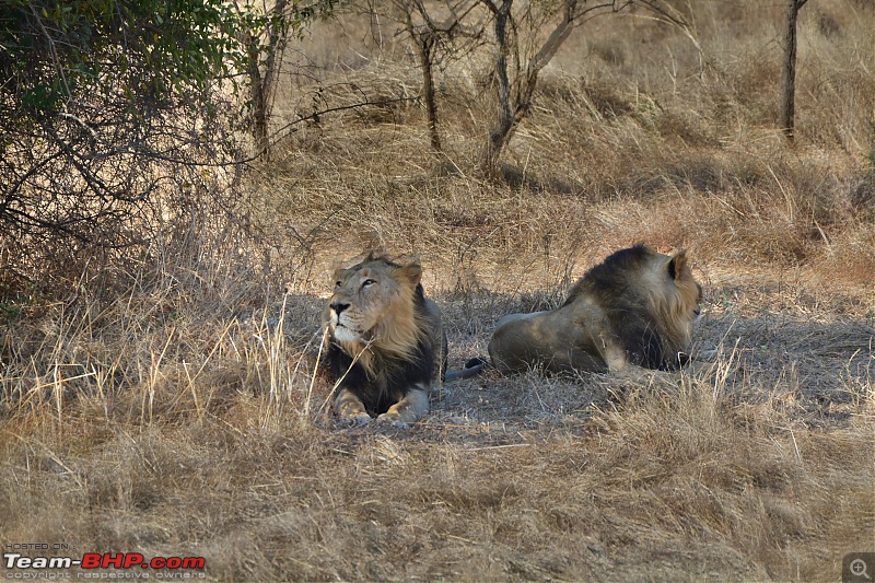 Circumnavigating Gujarat: Saurashtra & Kutch-dsc_0045.jpg