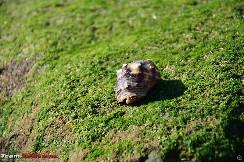 Circumnavigating Gujarat: Saurashtra & Kutch-dsc_0056.jpg