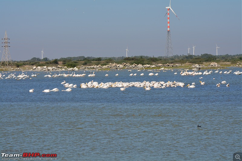 Circumnavigating Gujarat: Saurashtra & Kutch-dsc_0068.jpg