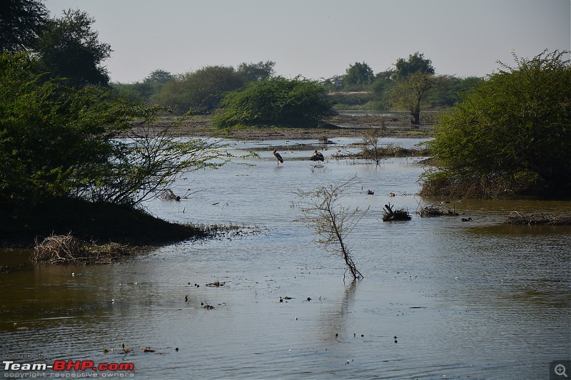 Circumnavigating Gujarat: Saurashtra & Kutch-dsc_0263.jpg