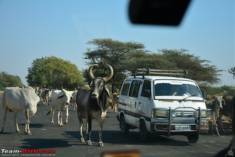 Circumnavigating Gujarat: Saurashtra & Kutch-dsc_0189.jpg