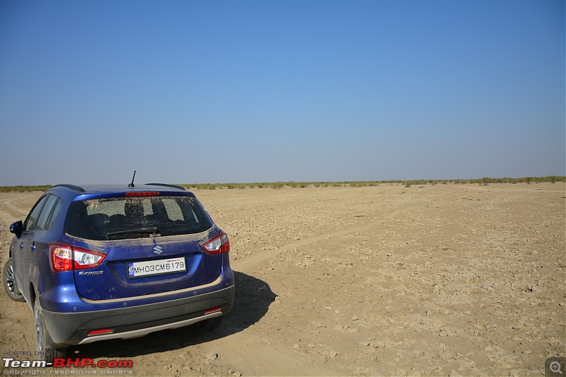 Circumnavigating Gujarat: Saurashtra & Kutch-dsc_0155.jpg