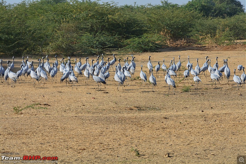 Circumnavigating Gujarat: Saurashtra & Kutch-dsc_0002.jpg