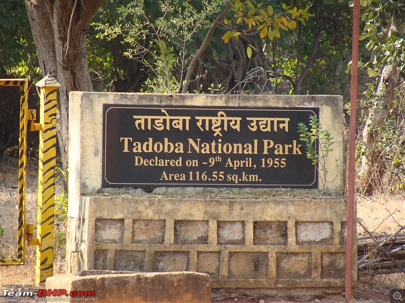 Tadoba Andhari Tiger Reserve : Just another quick travelogue-tadoba1-11.jpg