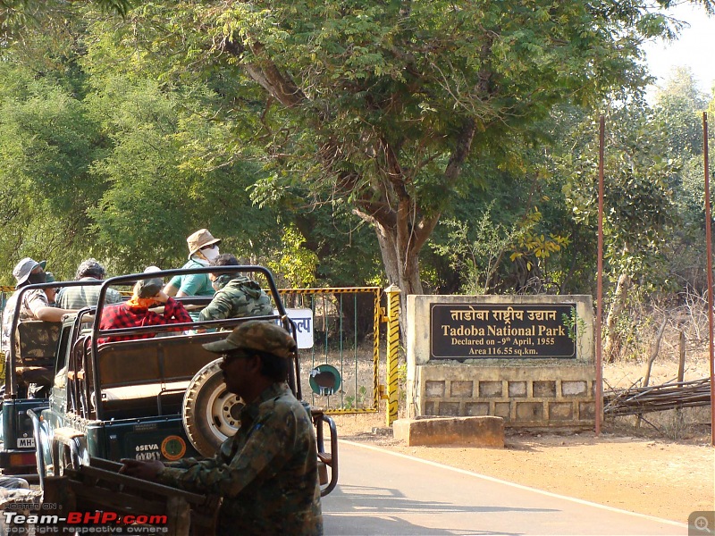 Tadoba Andhari Tiger Reserve : Just another quick travelogue-tadoba1-12.jpg