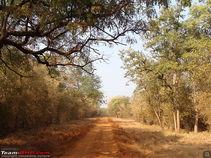 Tadoba Andhari Tiger Reserve : Just another quick travelogue-tadoba1-13.jpg