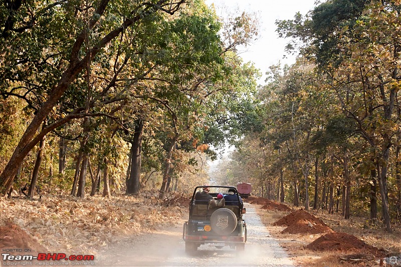 Tadoba Andhari Tiger Reserve : Just another quick travelogue-tadoba2-2k500.jpg