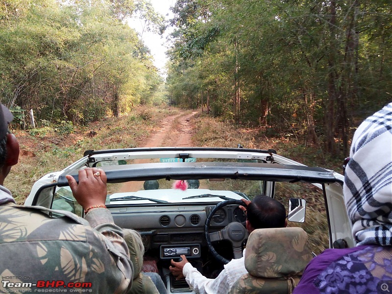 Tadoba Andhari Tiger Reserve : Just another quick travelogue-tadobajunona-3k500.jpg