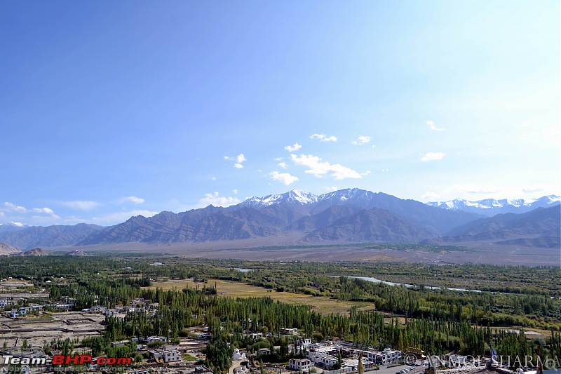 Journey to Leh Ladakh - A Land of High Passes for travellers with high aspirations...-dsc-956.jpg