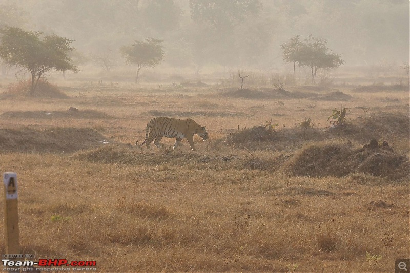 Tadoba Andhari Tiger Reserve : Just another quick travelogue-tadoba_4k500.jpg