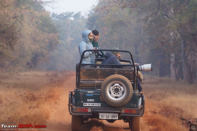 Tadoba Andhari Tiger Reserve : Just another quick travelogue-tadoba_17k500.jpg