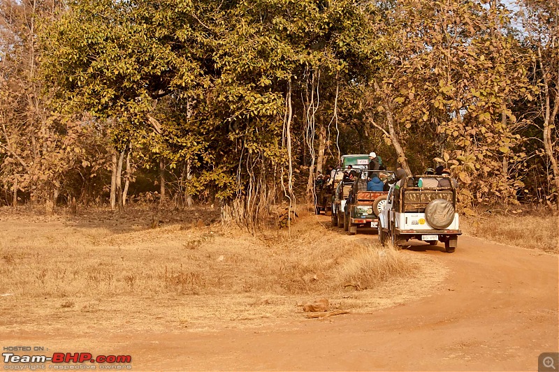 Tadoba Andhari Tiger Reserve : Just another quick travelogue-tadoba_88k500.jpg