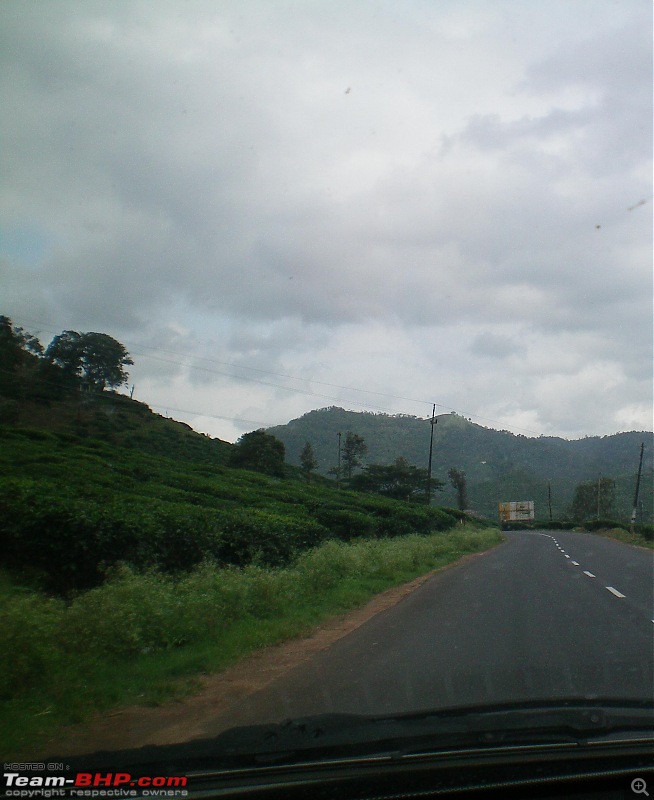 Bangalore - Cochin - Thekkady - Alleppy - Cochin - Bangalore-picture-058.jpg