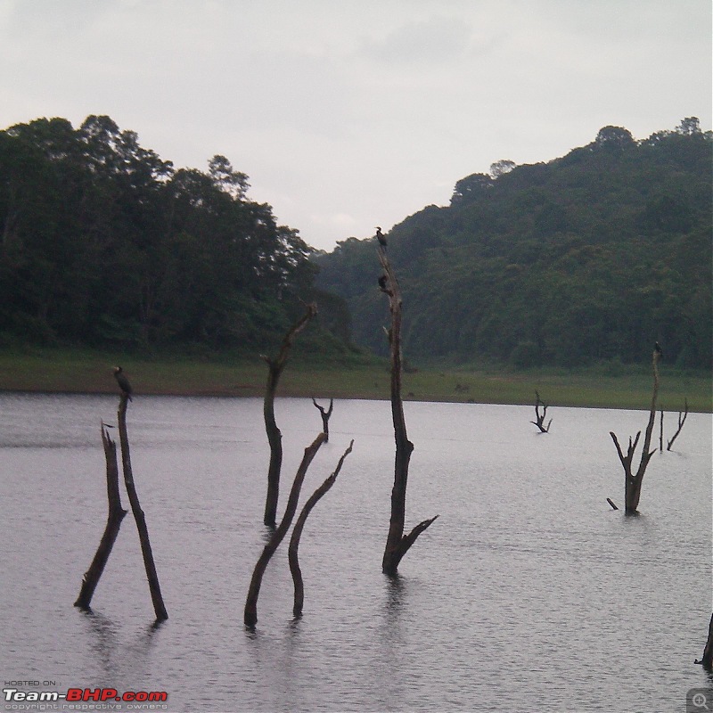 Bangalore - Cochin - Thekkady - Alleppy - Cochin - Bangalore-picture-097.jpg