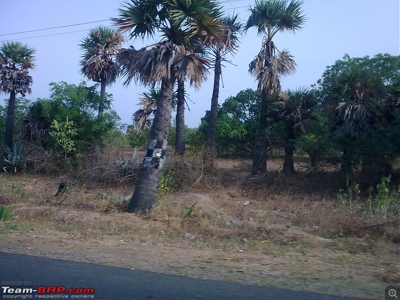 Chennai - Thrissur & Back through the roads not taken-image_088.jpg