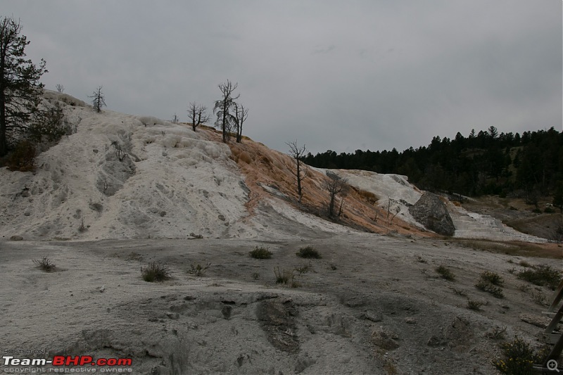 Yellowstone: A trip to the oldest national park in the USA (and the world)-img_0965.jpg