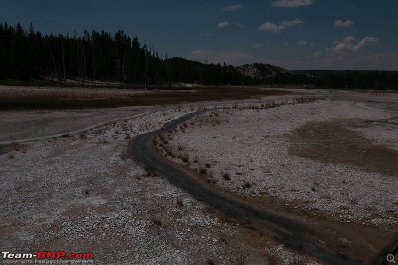 Yellowstone: A trip to the oldest national park in the USA (and the world)-img_1551.jpg