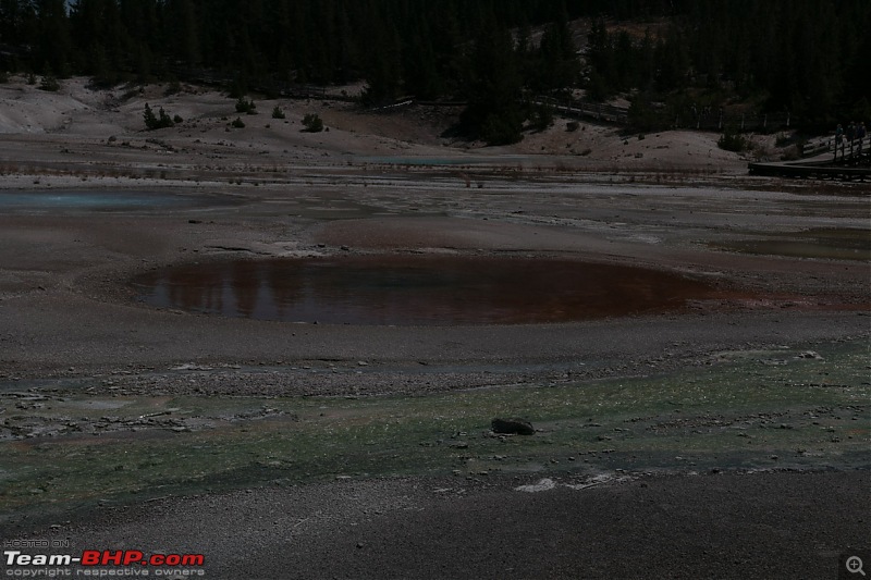 Yellowstone: A trip to the oldest national park in the USA (and the world)-img_1589.jpg
