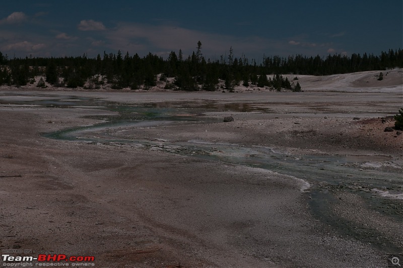 Yellowstone: A trip to the oldest national park in the USA (and the world)-img_1592.jpg