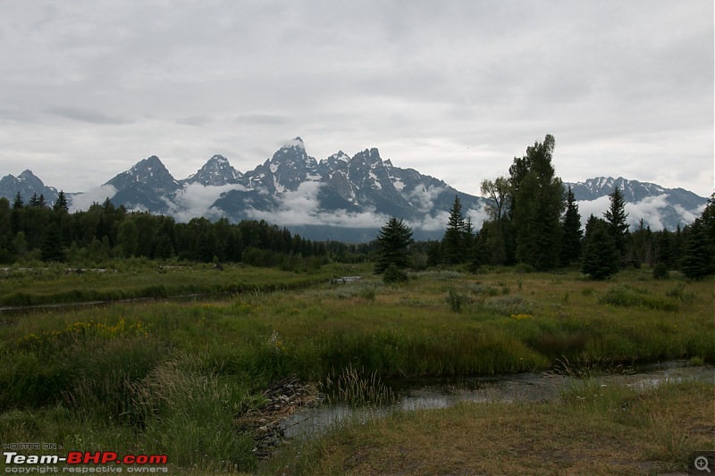 Yellowstone: A trip to the oldest national park in the USA (and the world)-img_2163.jpg