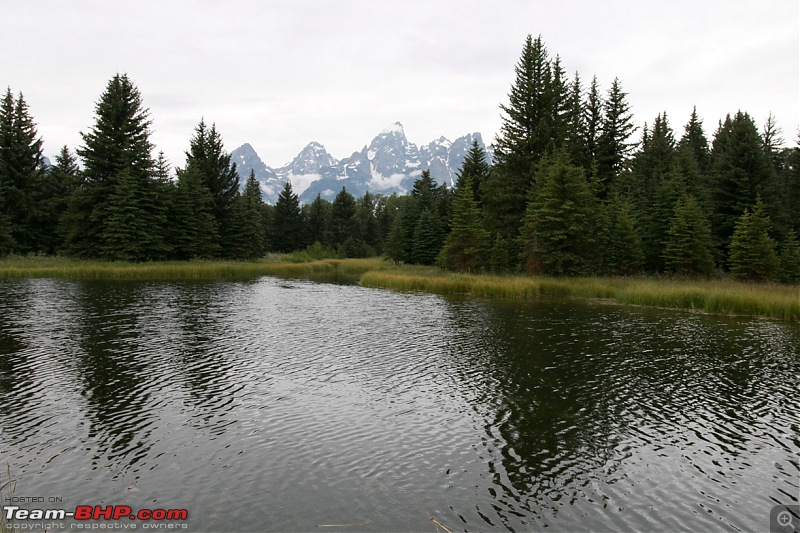 Yellowstone: A trip to the oldest national park in the USA (and the world)-img_2186.jpg