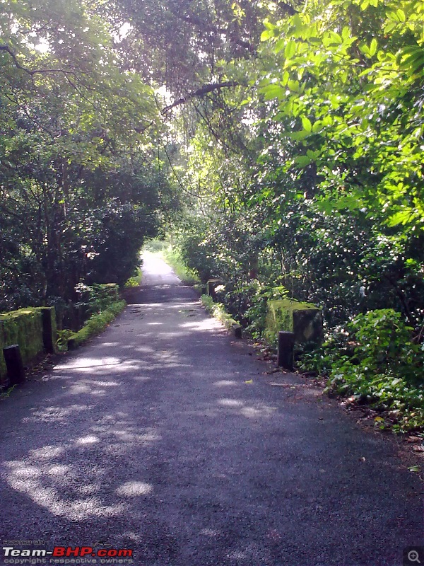 Chennai - Thrissur & Back through the roads not taken-image_144.jpg