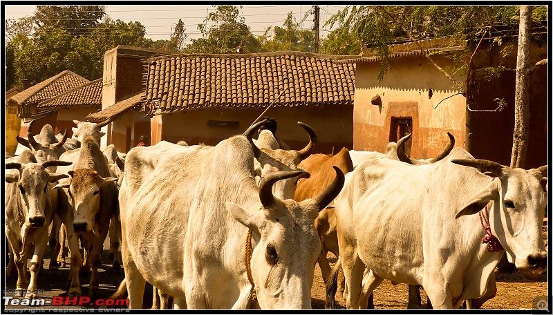 A Rhymelogue: Drive to Ajodhya Hills, Purulia-19c.jpg