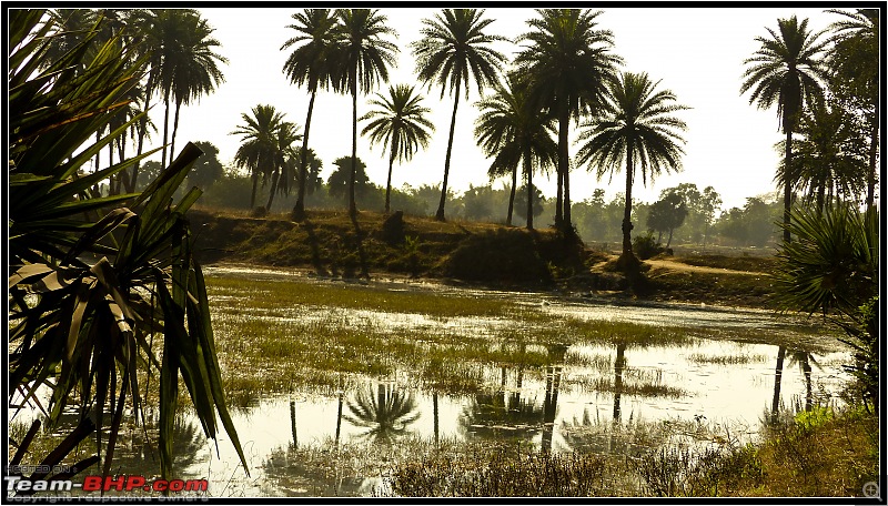 A Rhymelogue: Drive to Ajodhya Hills, Purulia-16.jpg