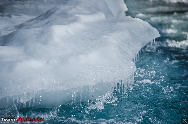 Ice, Ice Baby! Ladakh's Chadar Trek-24_dsc3066.jpg